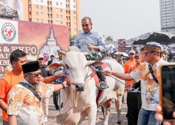 Muzani Hadiri Kontes Sapi APPSI, Singgung Program Makan Siang Gratis Prabowo-Gibran