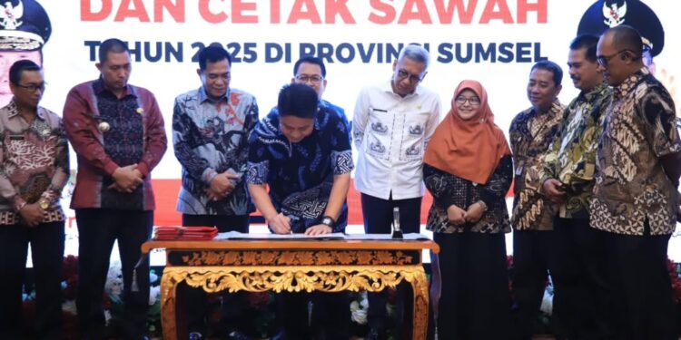 HD Gerak Cepat! Sumsel Targetkan 106.357 Ha Lahan Optimal untuk Swasembada Pangan