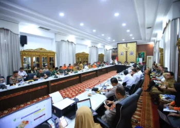 Danlanud SMH Hadiri Rakor Penanggulangan Karhutla Sumsel, Perkuat Sinergi Lintas Instansi